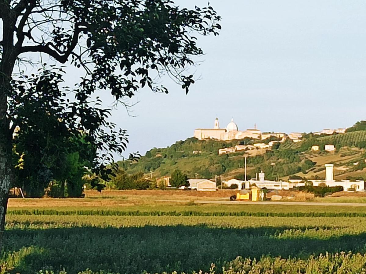 Il Cipresso Διαμέρισμα Casa Saraceni Εξωτερικό φωτογραφία